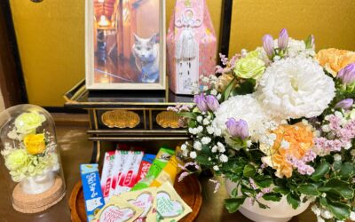 猫女将リリー　一周忌